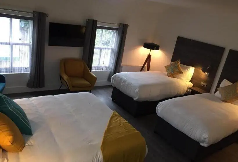 デラックスの４人部屋, Base Dingle