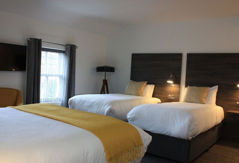 Номер Стандарт, Base Dingle