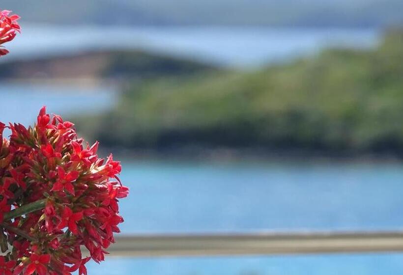 اتاق لوکس چهار تخته, Queen Margaret Seaside