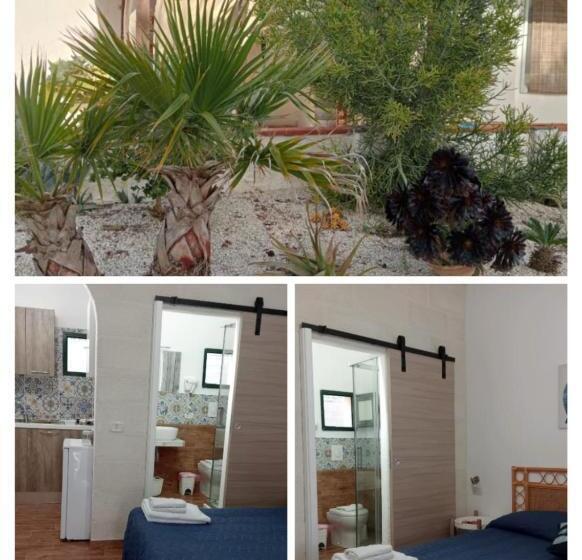 Студия Стандарт, Il Corallo Rosso