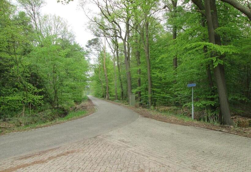 1베드룸 아파트 1층, Veenemaat