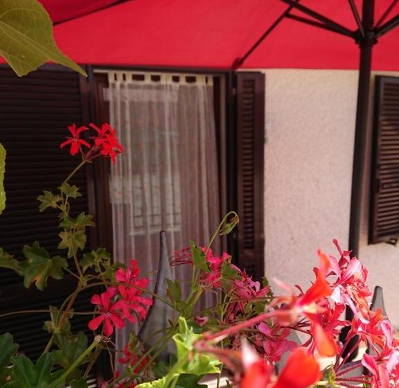 スタンダードルーム, Affittacamere Albafiorita