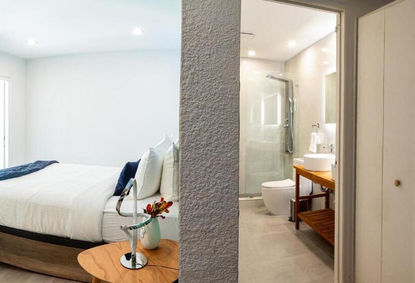 디럭스 스튜디오, The Lauderdale Boutique