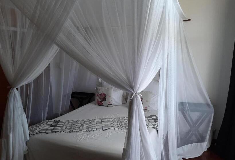 豪华海景房, Figtree Guesthouse