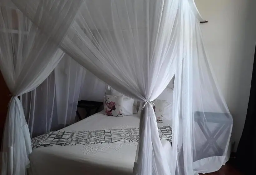 オーシャンビューデラックスルーム, Figtree Guesthouse