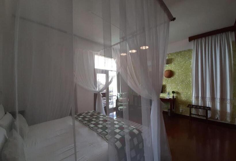 豪华海景房, Figtree Guesthouse