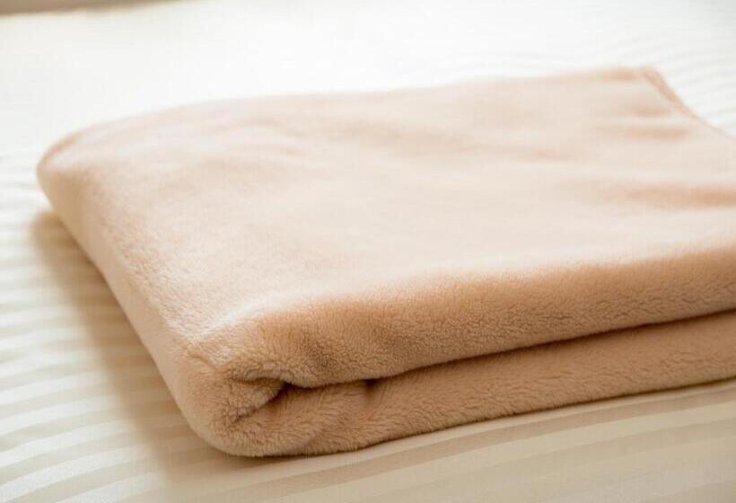 Camera Standard, Super Hotel Aomori