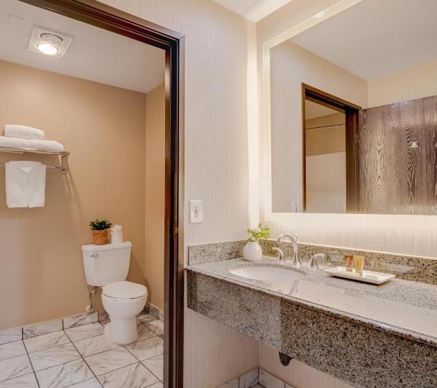 إستوديو قياسى سرير كينج, Ayres Hotel Corona   Riverside