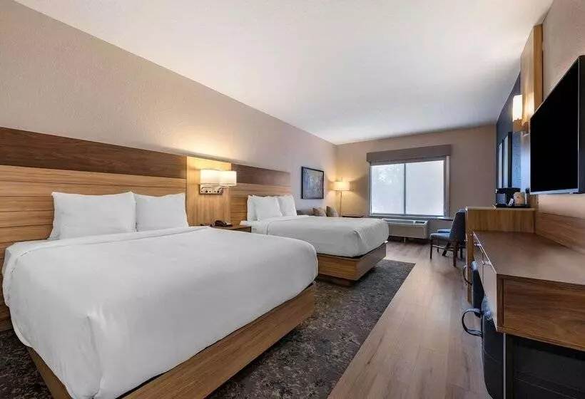 اتاق استاندارد, Best Western Plus Orlando East Ucf Area