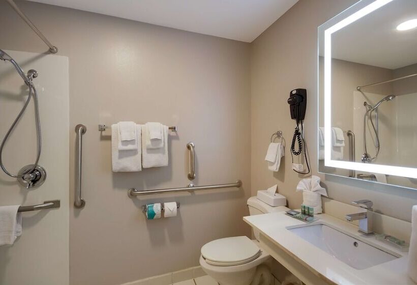 جناح لذوى الاحتياجات الخاصة, Spark By Hilton Destin