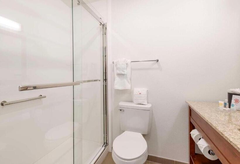 اتاق استاندارد با تخت بزرگ, Comfort Inn & Suites Carbondale On The Roaring Fork