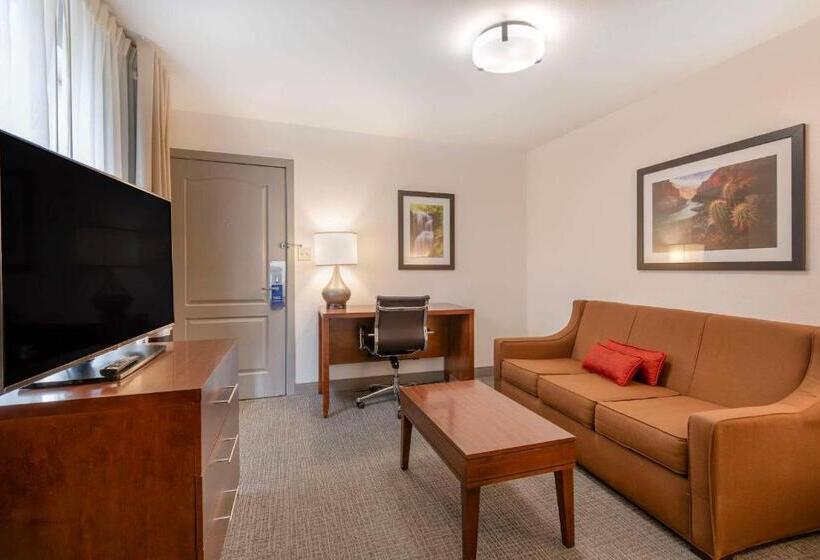 اتاق استاندارد با تخت بزرگ, Comfort Inn & Suites Carbondale On The Roaring Fork