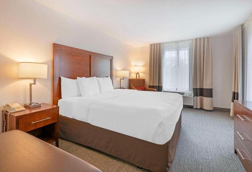 اتاق استاندارد با تخت بزرگ, Comfort Inn & Suites Carbondale On The Roaring Fork