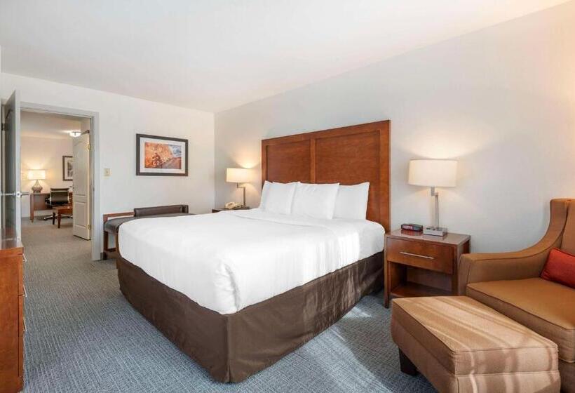 اتاق استاندارد با تخت بزرگ, Comfort Inn & Suites Carbondale On The Roaring Fork