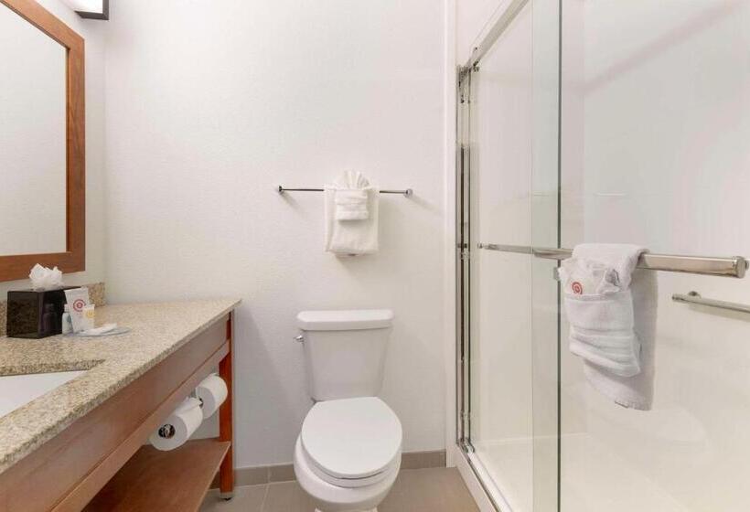 اتاق استاندارد, Comfort Inn & Suites Carbondale On The Roaring Fork