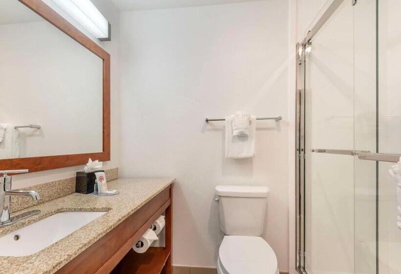 سوئیت با تخت بزرگ, Comfort Inn & Suites Carbondale On The Roaring Fork