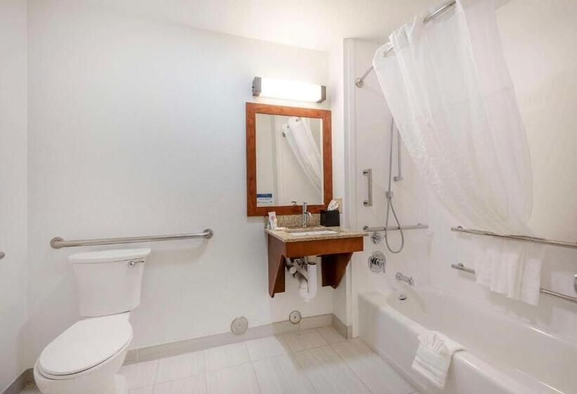 اتاق استاندارد برای معلولان, Comfort Inn & Suites Carbondale On The Roaring Fork