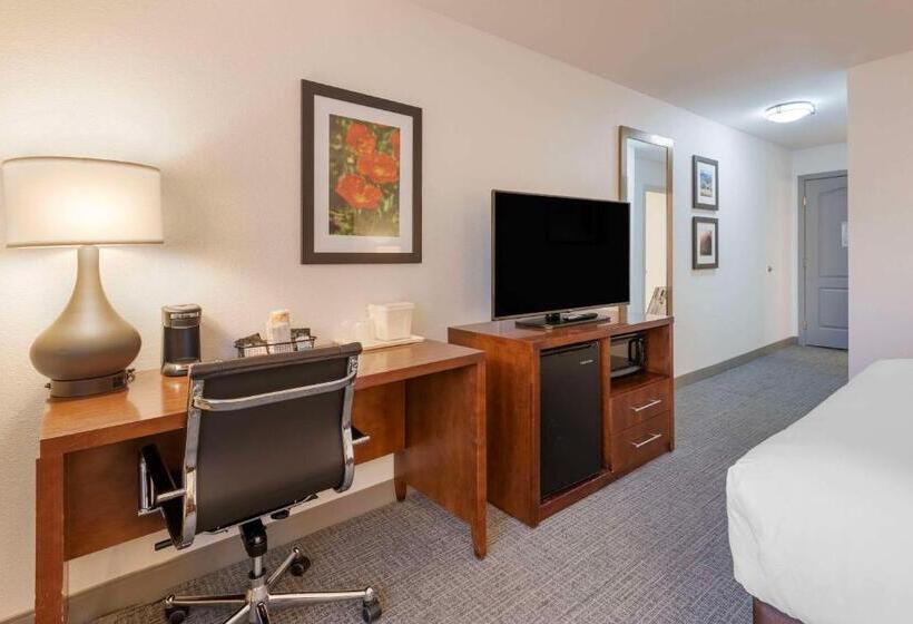 اتاق استاندارد برای معلولان, Comfort Inn & Suites Carbondale On The Roaring Fork