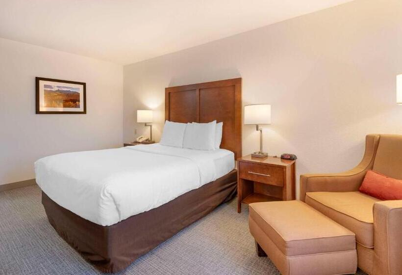 اتاق استاندارد برای معلولان, Comfort Inn & Suites Carbondale On The Roaring Fork