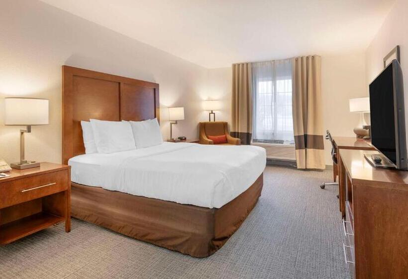اتاق استاندارد برای معلولان, Comfort Inn & Suites Carbondale On The Roaring Fork