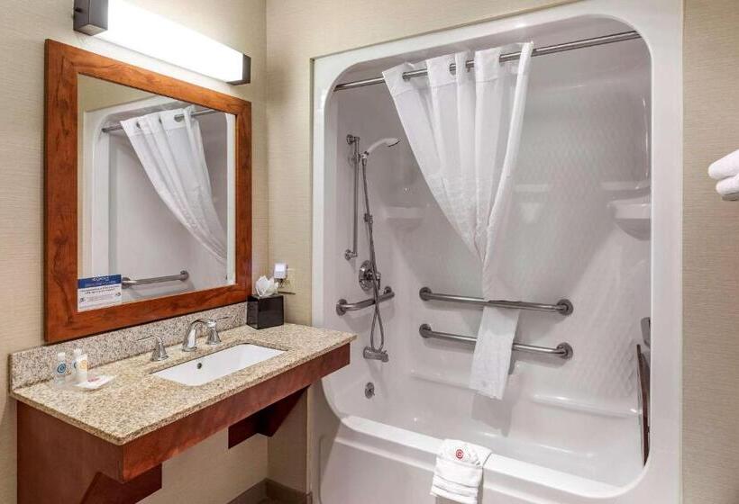 اتاق استاندارد برای معلولان, Comfort Inn & Suites Carbondale On The Roaring Fork