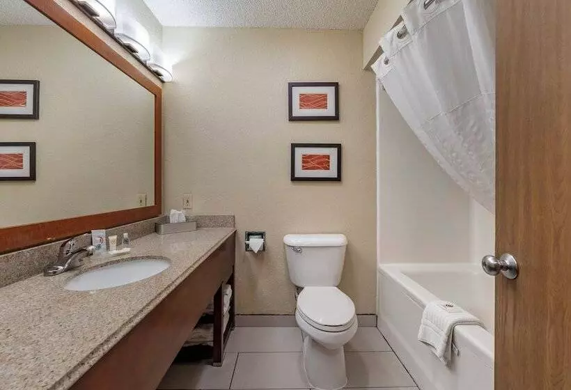 スイート, Comfort Inn & Suites Hays I70