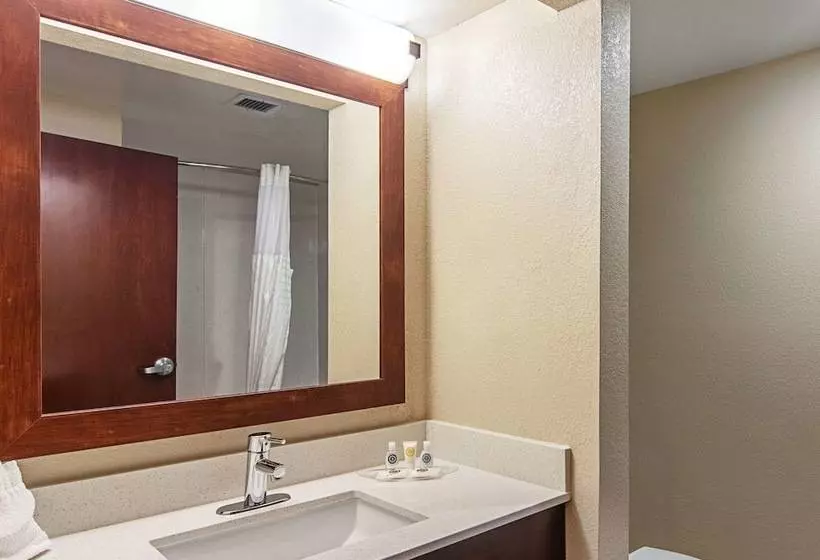 スイート, Comfort Suites Knoxville Airport