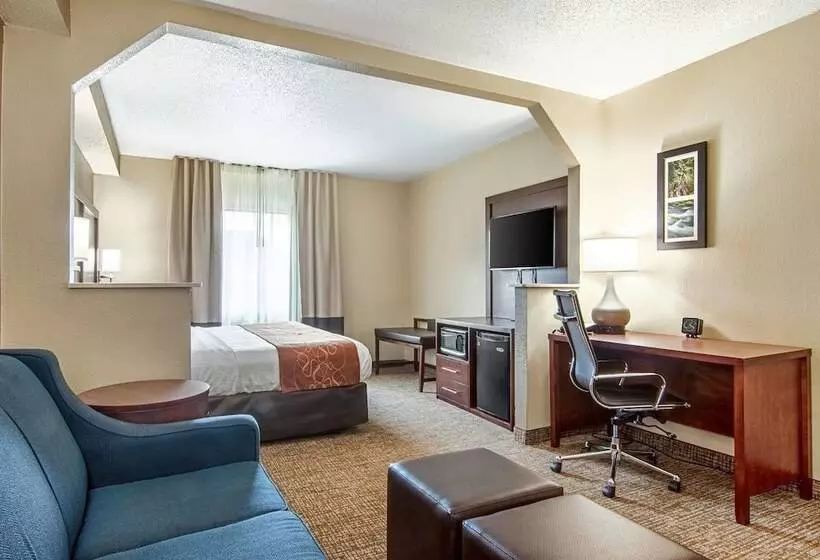スイート, Comfort Suites Knoxville Airport