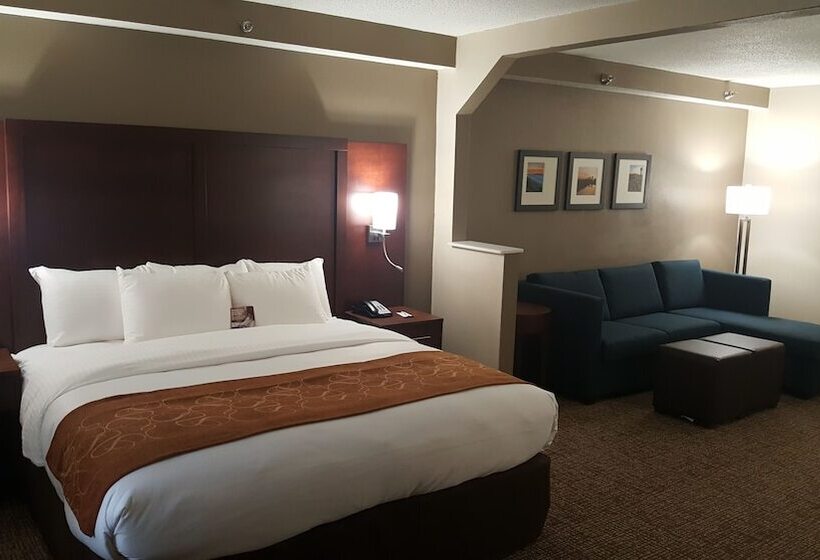 套房, Comfort Suites Knoxville Airport