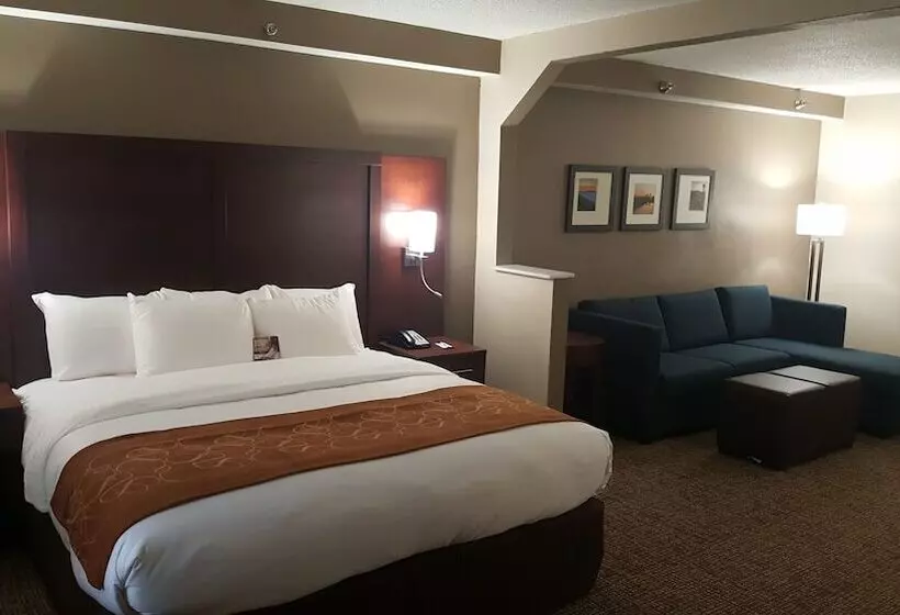 スイート, Comfort Suites Knoxville Airport