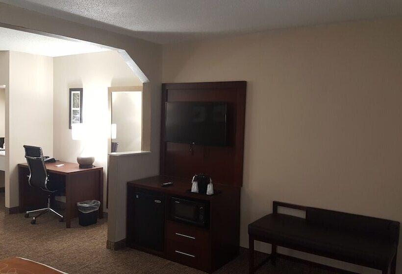 套房, Comfort Suites Knoxville Airport