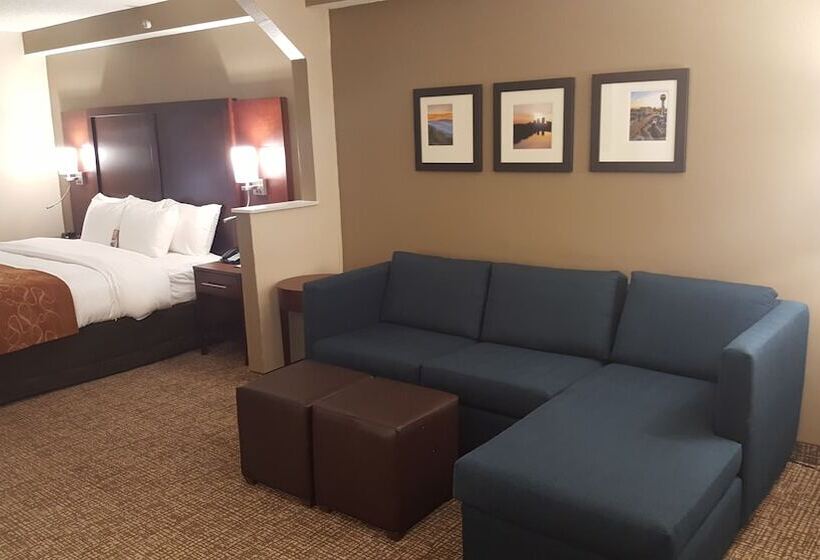 套房, Comfort Suites Knoxville Airport