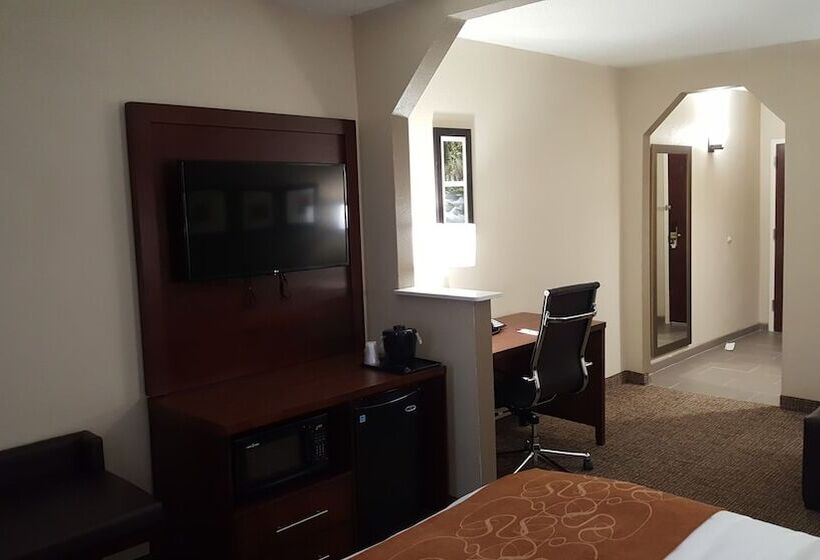 套房, Comfort Suites Knoxville Airport