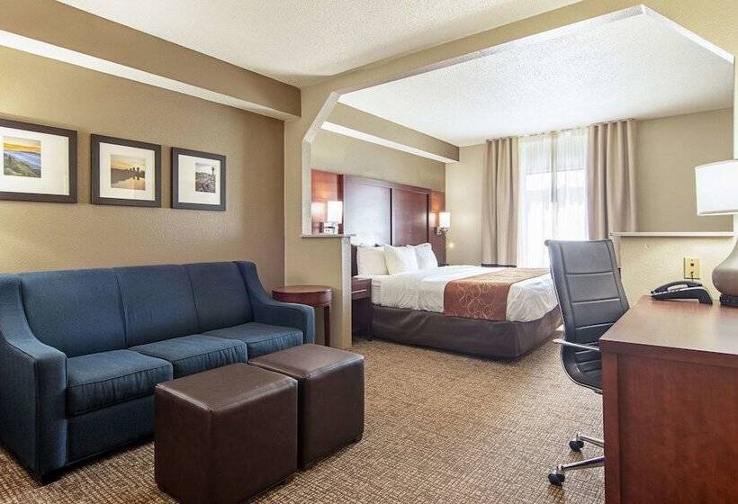 套房, Comfort Suites Knoxville Airport