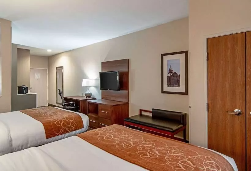 スイート, Comfort Suites Nw Dallas Near Love Field