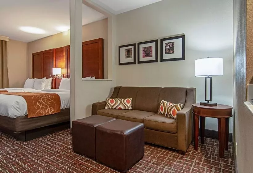 スイート, Comfort Suites Nw Dallas Near Love Field