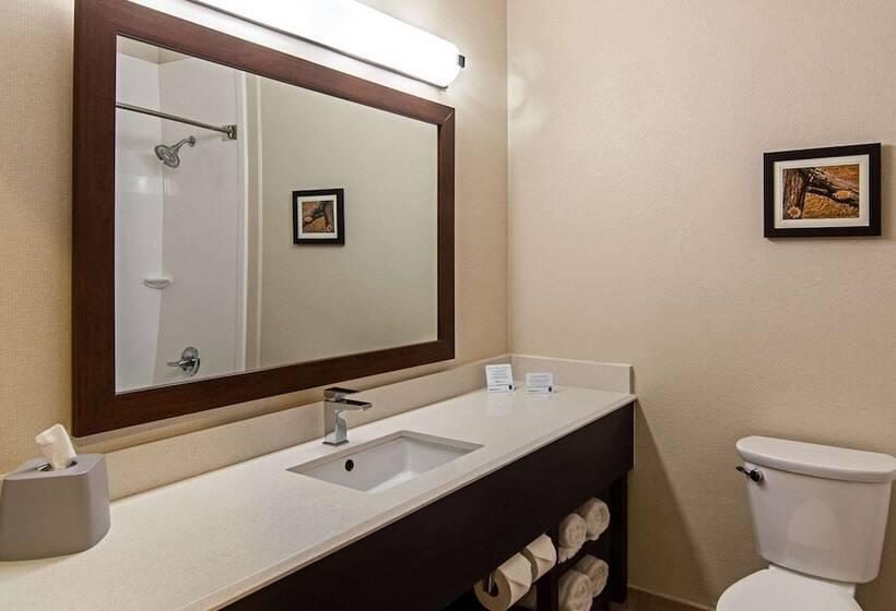 סוויטה, Comfort Suites Nw Dallas Near Love Field