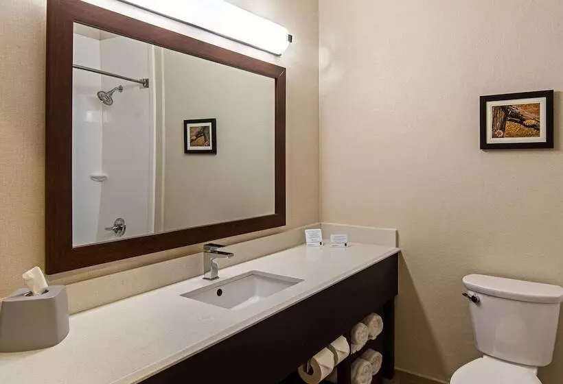スイート, Comfort Suites Nw Dallas Near Love Field