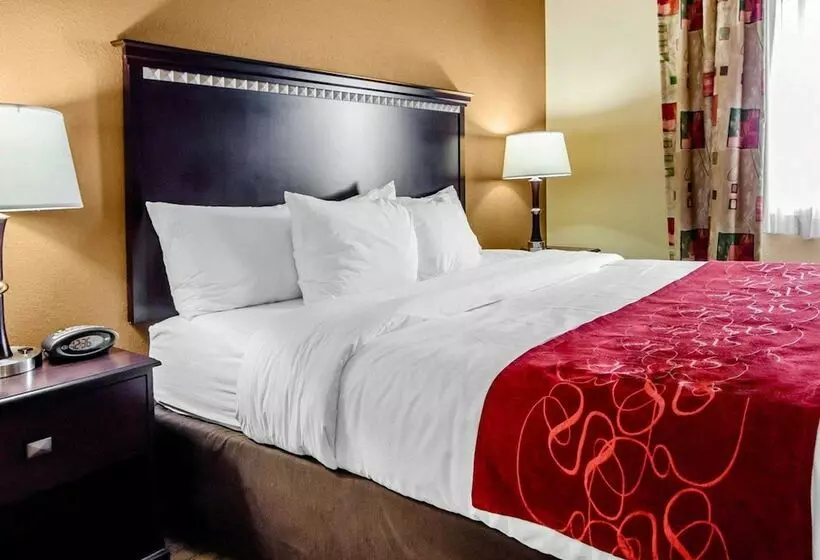 スイート, Comfort Suites Louisville East