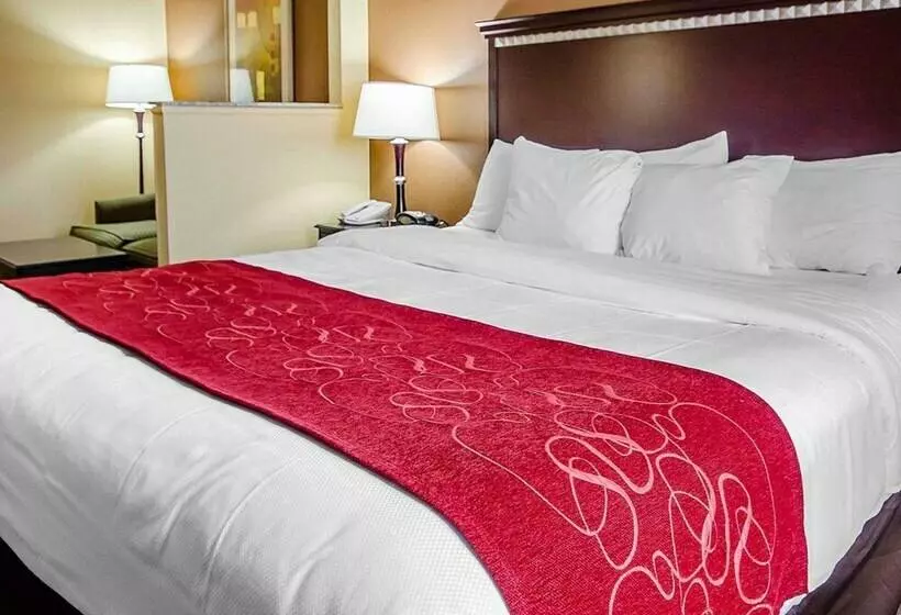 身障者適用スイートルーム, Comfort Suites Louisville East