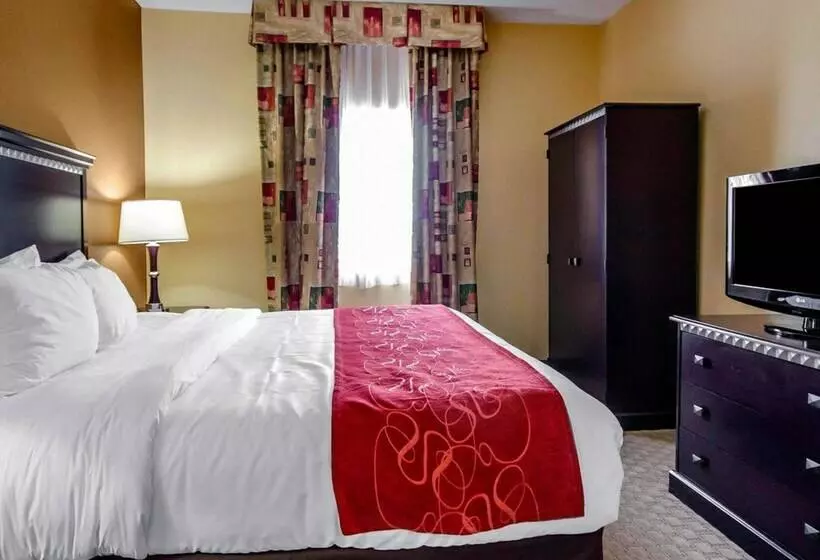 身障者適用スイートルーム, Comfort Suites Louisville East