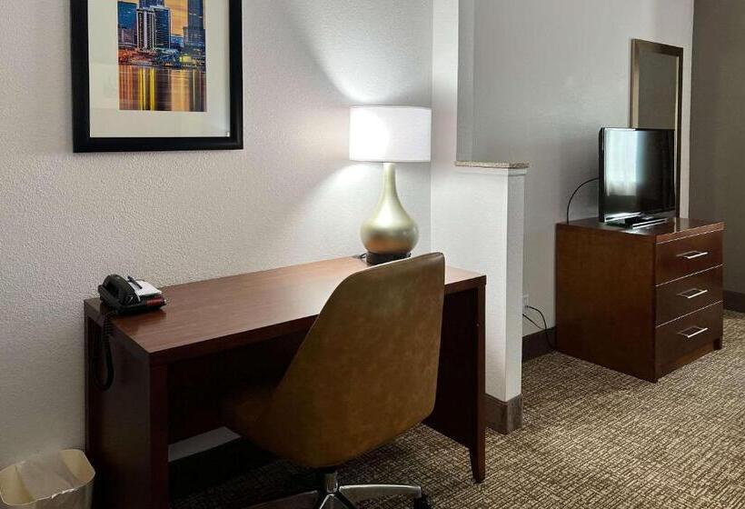 سوئیت با تخت بزرگ, Comfort Suites Louisville East