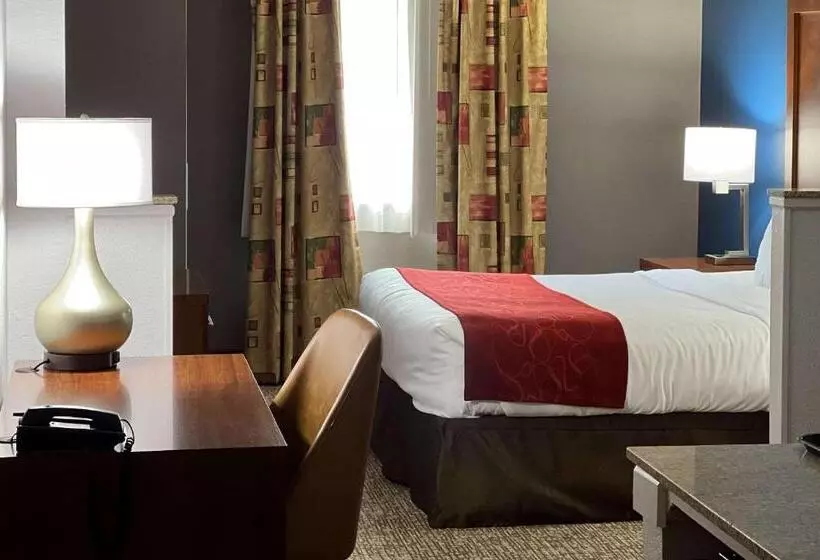 キングサイズベッドのスイートルーム, Comfort Suites Louisville East