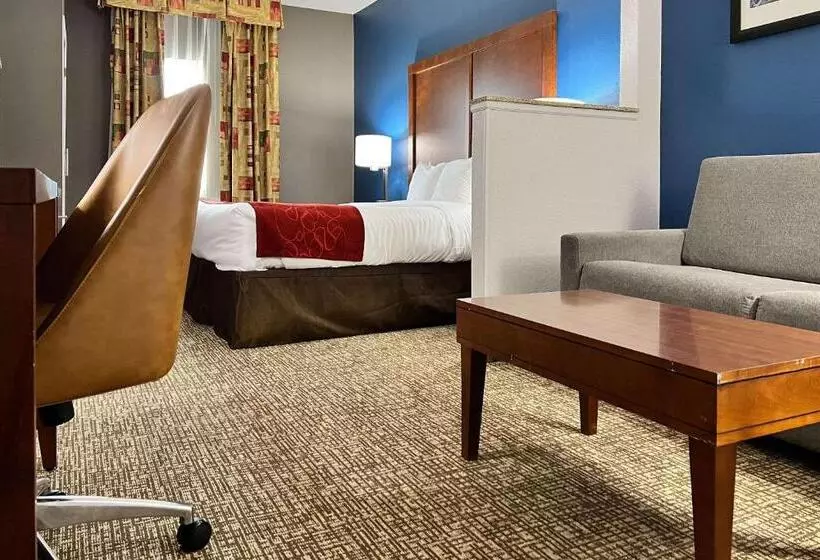 キングサイズベッドのスイートルーム, Comfort Suites Louisville East