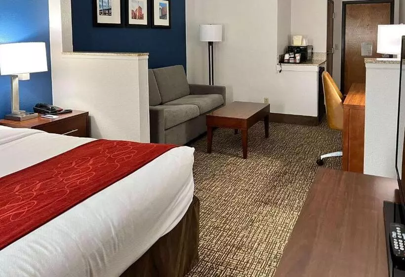 キングサイズベッドのスイートルーム, Comfort Suites Louisville East