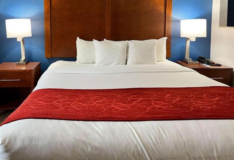 キングサイズベッドのスイートルーム, Comfort Suites Louisville East