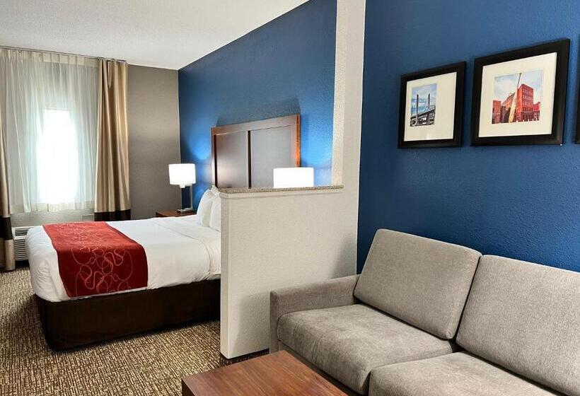 سوئیت برای معلولان, Comfort Suites Louisville East