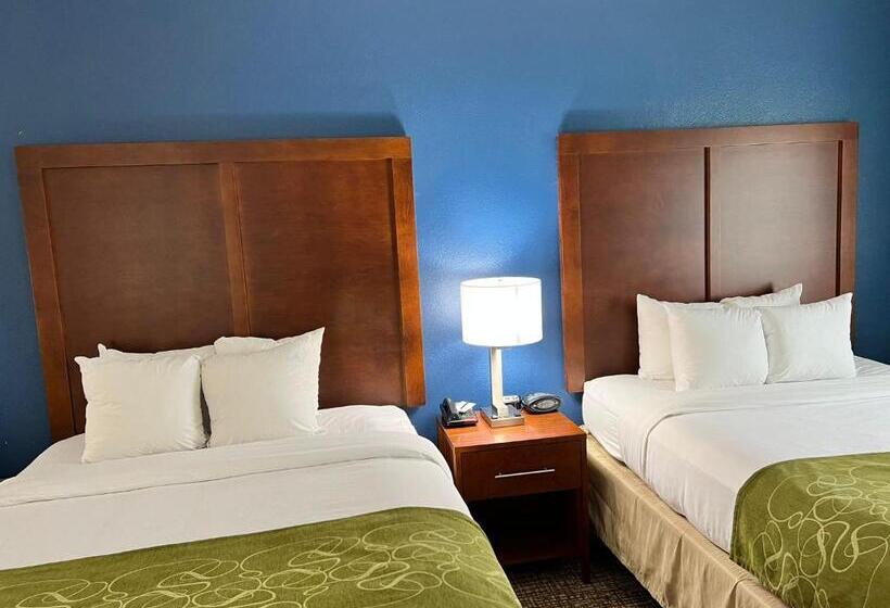 スイート, Comfort Suites Louisville East