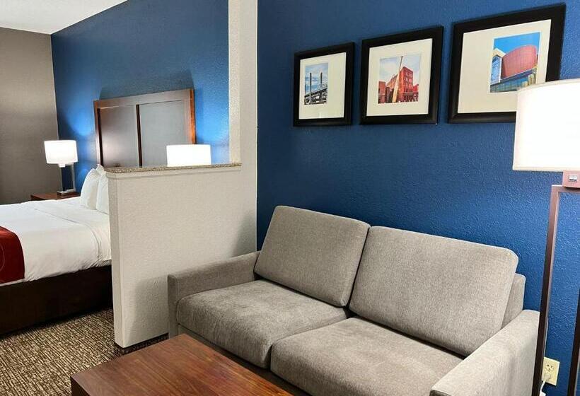 キングサイズベッドのスイートルーム, Comfort Suites Louisville East