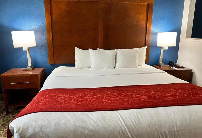キングサイズベッドのスイートルーム, Comfort Suites Louisville East
